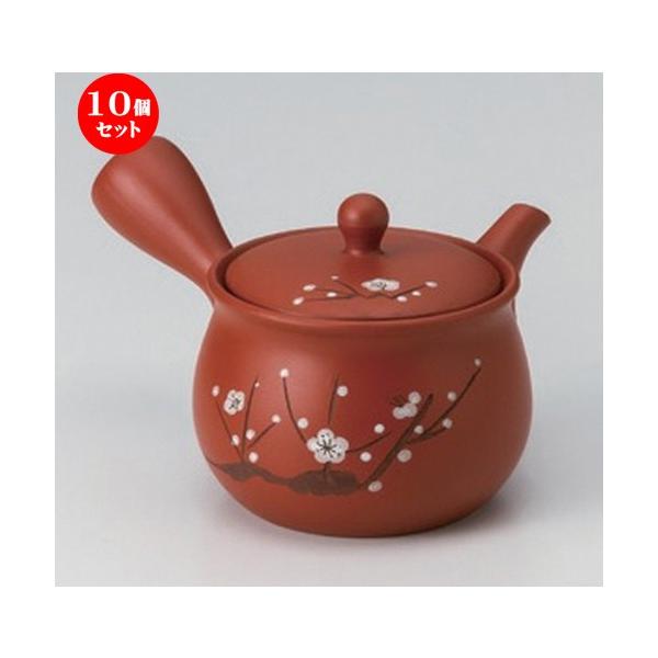 10Zbg  튊}{ ԋ{ D܌`~  [ 330cc 290g ] y   aH HX Ɩp z