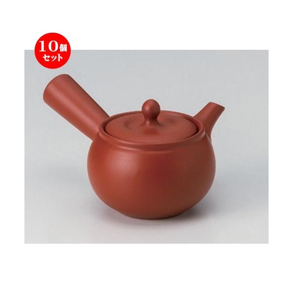 10Zbg  튊}{ ԋ{D܂`n  [ 330cc 280g ] y   aH HX Ɩp z