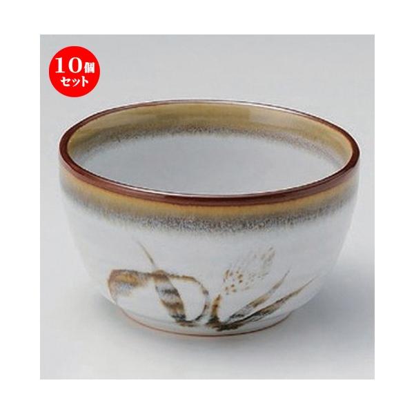 10Zbg  g Vڔ4.0 [ 12.2 x 7.2cm 320g ]  |  aH mH  Ɩp