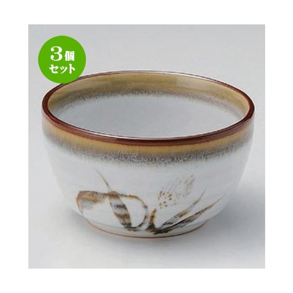 3Zbg  g Vڔ3.6 [ 10.5 x 6.5cm 258g ]  |  aH mH  Ɩp