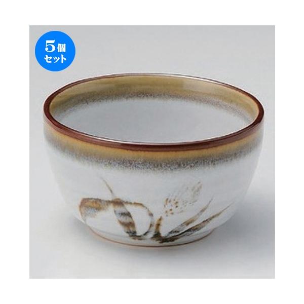 5Zbg  g Vڔ3.6 [ 10.5 x 6.5cm 258g ]  |  aH mH  Ɩp