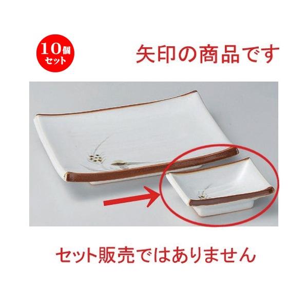 10Zbg  M Vڔpv [ 10 x 6.5cm 158g ]  |  aH mH  Ɩp