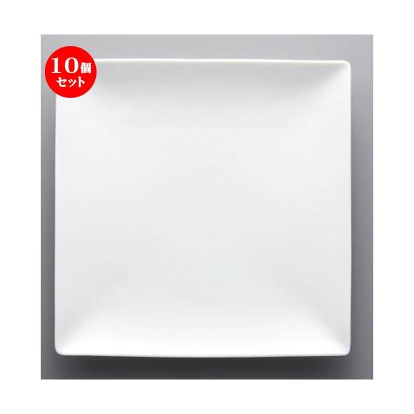 10�Z�b�g �� �{�[�_�[���X�X�^�C�� ��Arctic White�V���[�v�G�b�W 25cm�X�N�G�A�v���[�g [ 25.9 x 3.7cm 900g ] �y �m�H�� ���H�X �Ɩ��p �z