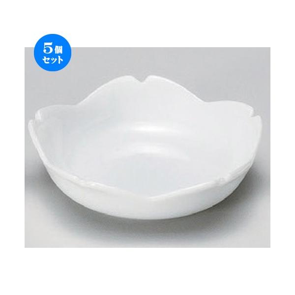 5Zbg  m  [ 10 x 2cm 100g ] y JtF Xg mH HX Ɩp z