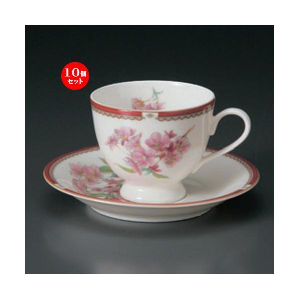 10Zbg  R[q[Jbv NBR[q[C/S [ 11 x 8.3 x 7cm E 14.8 x 2.2cm E 275g ] y JtF Xg mH HX Ɩp z