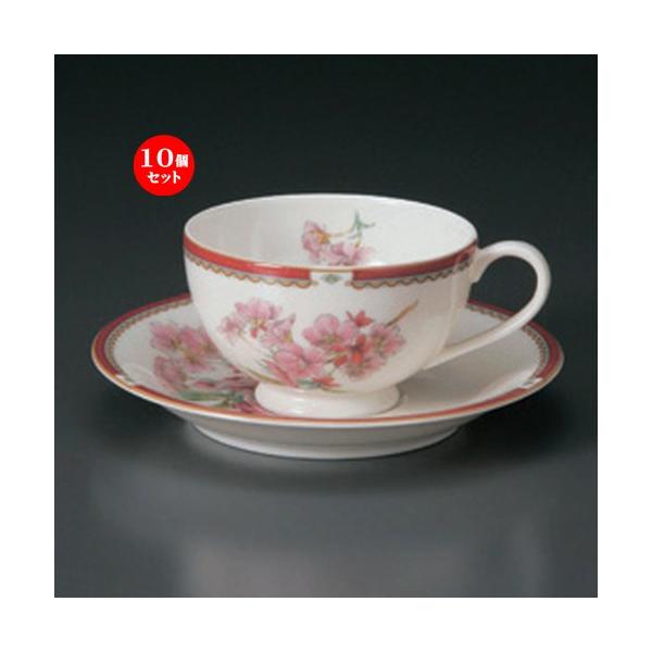 10Zbg  R[q[Jbv NBgC/S [ 11.5 x 9 x 5.5cm E 14.8 x 2.2cm E 260g ] y JtF Xg mH HX Ɩp z