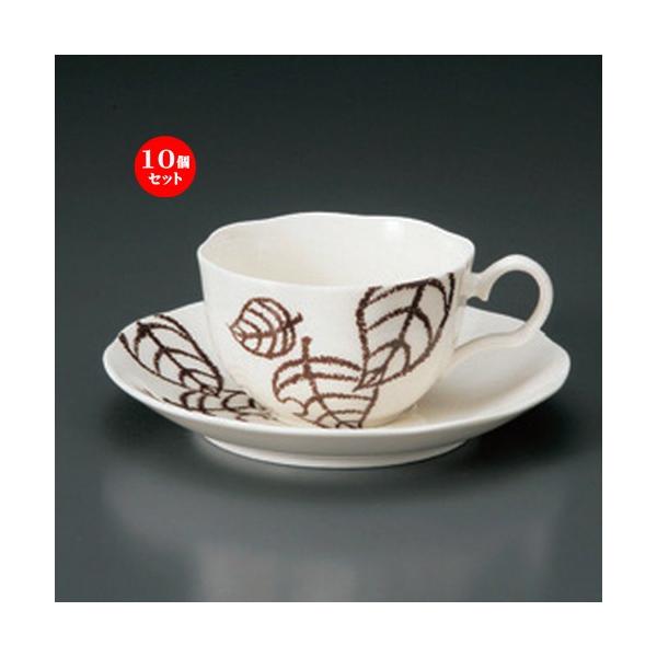 10Zbg  R[q[Jbv NB؂̗tR[q[qM [ 11.5 x 9 x 5.5cm 200cc E 15.2 x 2.3cm E 262g ] y mH HX Ɩp z