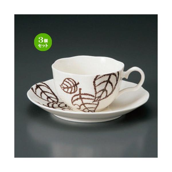 3Zbg  R[q[Jbv NB؂̗tR[q[qM [ 11.5 x 9 x 5.5cm 200cc E 15.2 x 2.3cm E 262g ] y mH HX Ɩp z