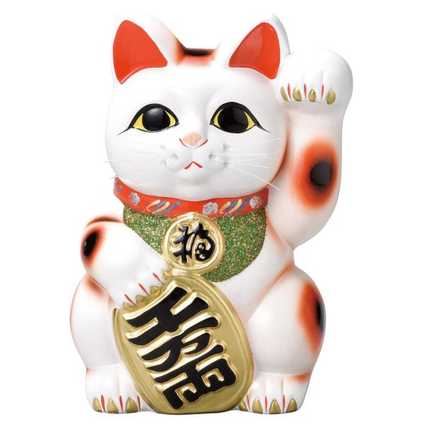 uENEi / L5i튊āj @:110×100×160mm