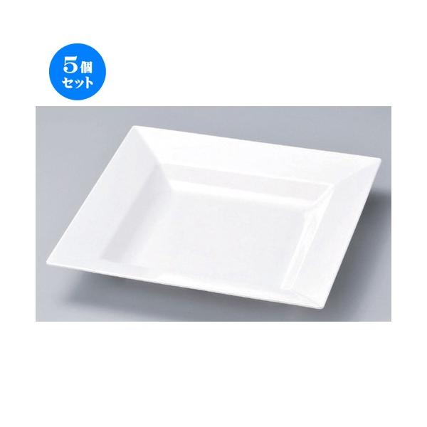 5Zbg  zO  (M) p  46cm [ 46 x 46 x 7.3cm 2185g ] y ze Xg mH HX Ɩp z
