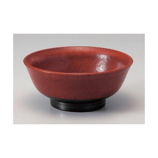  [ ԗMq6.5[ [ 20.7 x 8.8cm 805g ] y [X ؐH HX Ɩp z