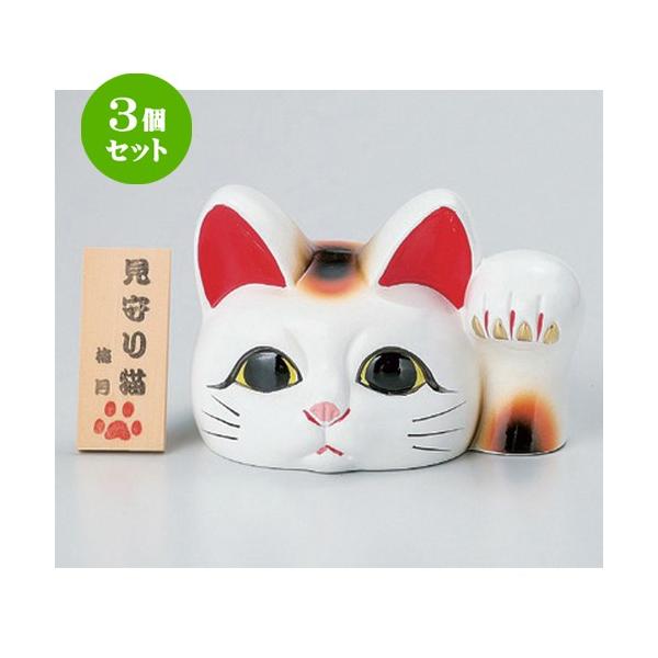 3Zbg  L 烊L () ؎Dt [ 14 x 11 x 9cm 400g ] y HX CeA N u K^ L ˂ z