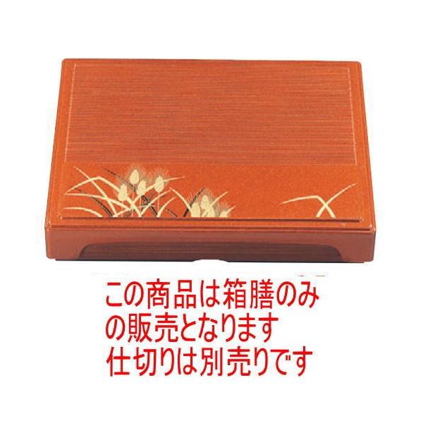 ̓ٓ 2ؔVn(dؕ) [36 x 30 x 6.3cm] ABS (7-385-16)   aH HX Ɩp