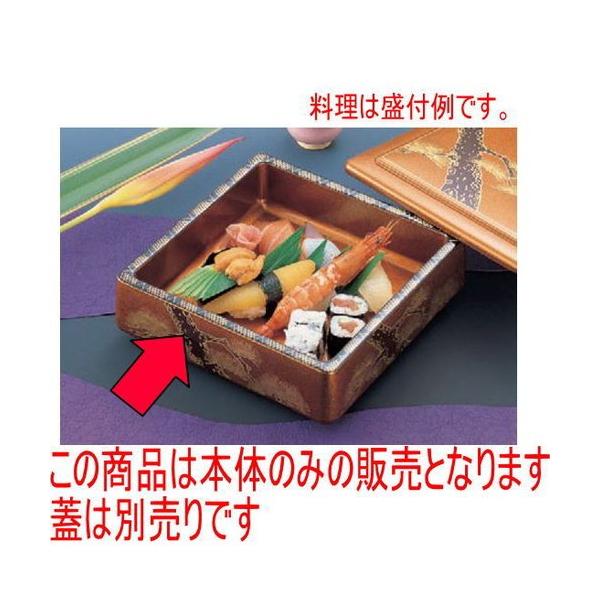 i VpD.XnԏnVAWI [20.5 x 20.5 x 6.2cm] ABS (7-468-7)   aH HX Ɩp