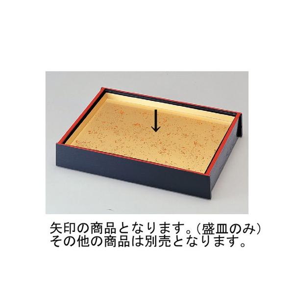 oCLO 7v[gؐ FM F M̂SHh [48.8 x 36 x 2.6cm] Md(~܂̓A) (7-610-5)