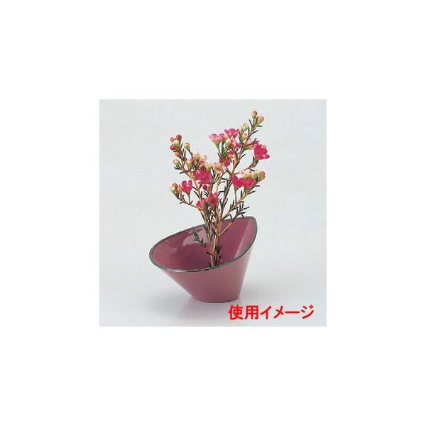 ԊEԑ ԐsNVO[ [12.2 x 8.7 x 6.2cm] Md(~܂̓A) (7-911-29)   aH HX Ɩp