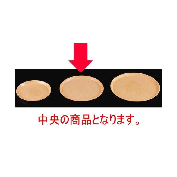 ~ (S-35)ϔMۃg[uEXg mXbvH [35.3 x 1.7cm] FRP H@ (7-94-5)   aH HX Ɩp