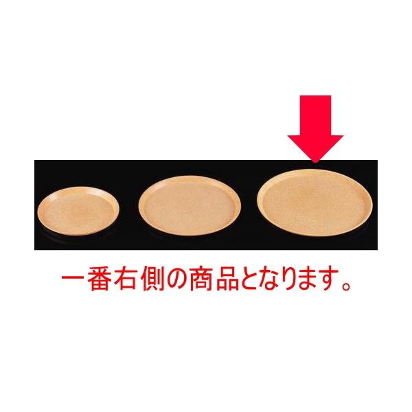 ~ (S-40)ϔMۃg[uEXg mXbvH [40 x 2cm] FRP H@ (7-94-6)   aH HX Ɩp