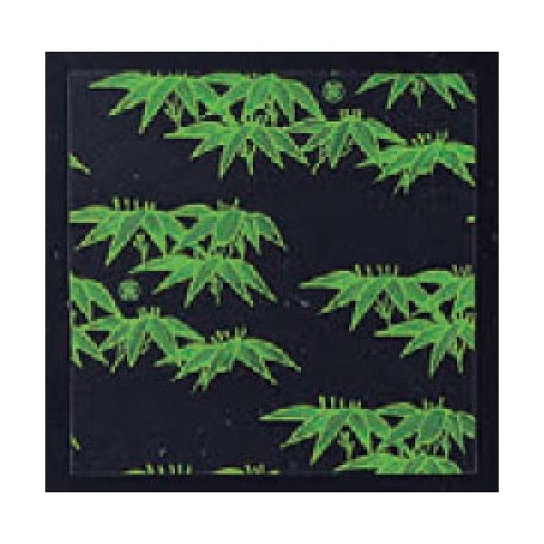 ~ ΃V[g p  12p(200) [12 x 12cm] (7-979-1)   aH HX Ɩp