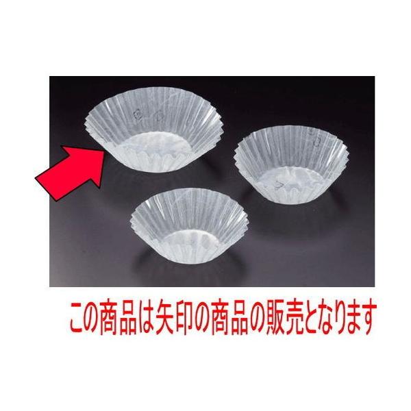 tBP[X tCP[X _(500)8A [a5 x 2.5cm] (7-982-1)   aH HX Ɩp