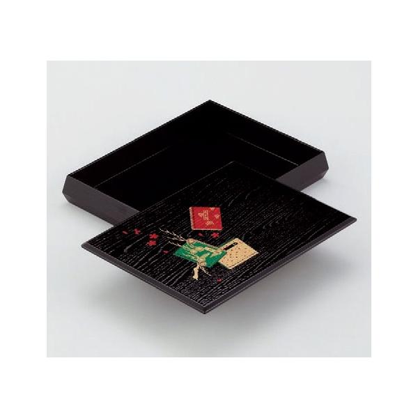 qpi _C^ɍؖږNt(t) [31 x 23.2 x H5cm] ؐi (7-906-14)   aH HX Ɩp