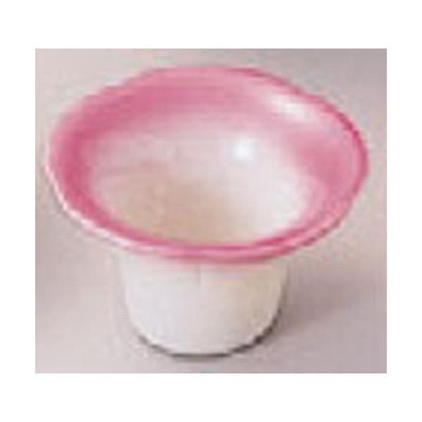  ~j珬tsN(6Ip) [4.7 x 2.9cm]  (7-682-35)  |  aH mH  Ɩp