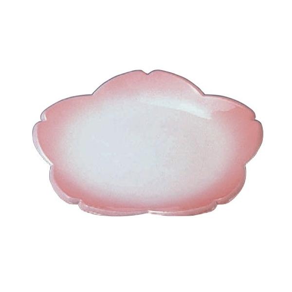  ()MsNڂ [24.5 x 24 x 2.4cm] ABS (7-654-23) | M M aH mH  Ɩp