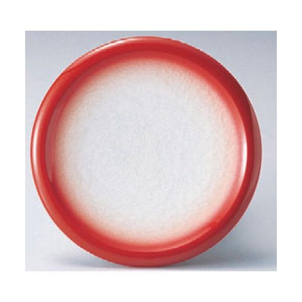 ] MANAbhڂ [15 x 2.4cm] ABS (7-486-11)   aH HX Ɩp