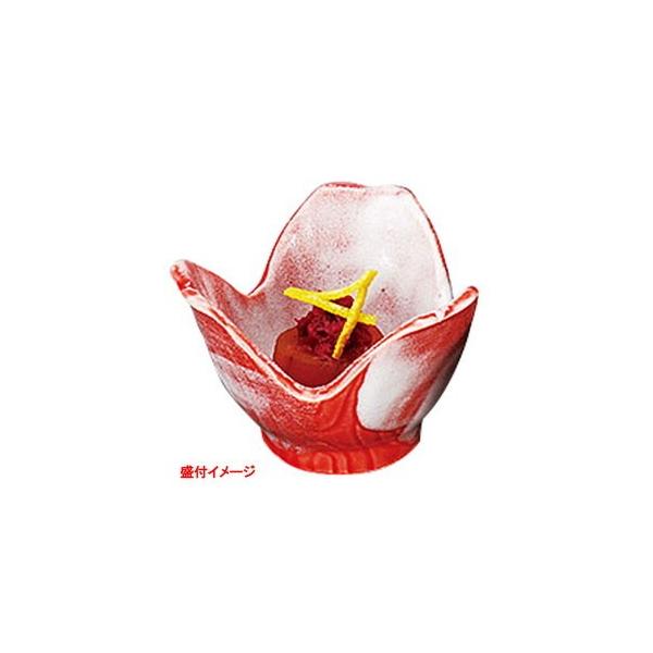 Ԋy R [ 9.5 x H6.7cm ] y  z |  aH mH  Ɩp