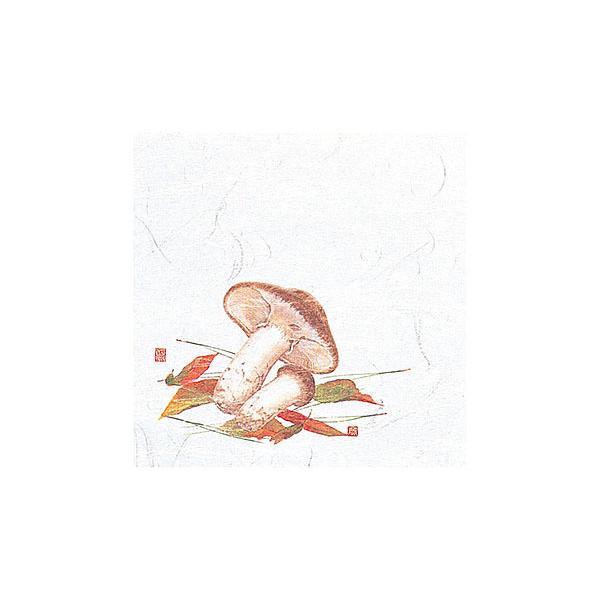 SnoΕ~@  (100) @:12×12cm | 㐻i