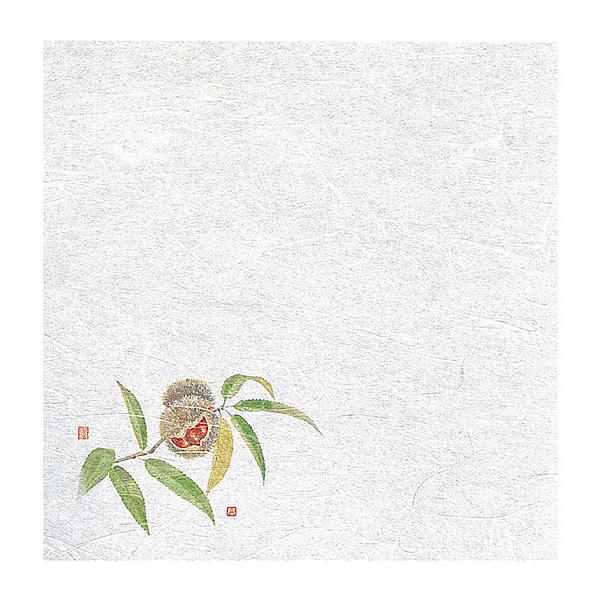 VEG򏑎  I  (100) @:20×20cm | 㐻i