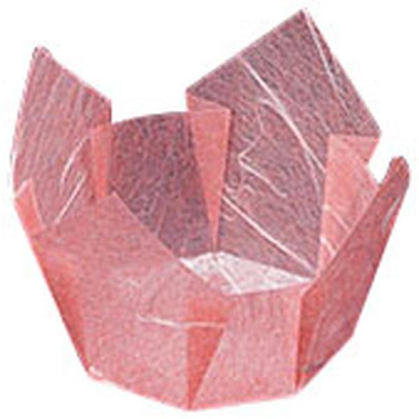 OP B g~ 200  [ 7 x 7 x H4.7cm ] y  z |    U ze  Ɩp