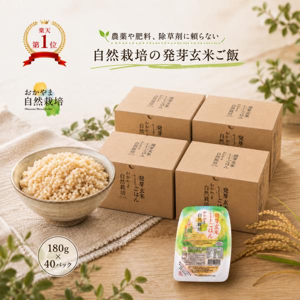 発芽玄米 パックご飯 40パック(180g×40個) レトルト 自然栽培 玄米 朝日米 木村式 オーガニック 無添加 農薬不使用  爆買い 自然農法 特別栽培