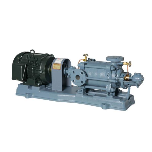 �`�� �|���v 65MS365.5D (60Hz) �G�o���|���v ���㑽�i�Q�����|���v MS�^