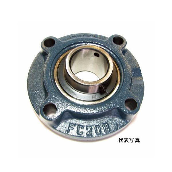 UCFC216 FYH s[ubN S ۃtW` UCFCJo[