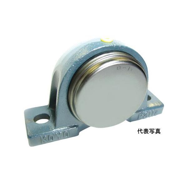 SM-UCP209 NTN �s���[�u���b�N ���S�� �s���[�` �J�o�[�t��