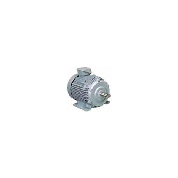 日立 三相モータ TFO-LK-2.2kW-4P-TMU-AC200V 全閉外扇 屋内仕様 脚取付 ブレーキ無し 端子箱（上）ザ・モートルNeo100 Premium