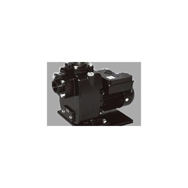 �O���d�@ ���S�����z���q���[�K���|���v 40PSZ-4023B ���S���E�≷���p ���a40A(1 1/2B) �o��400W(60Hz) �O��200V PSZ�^ ���O