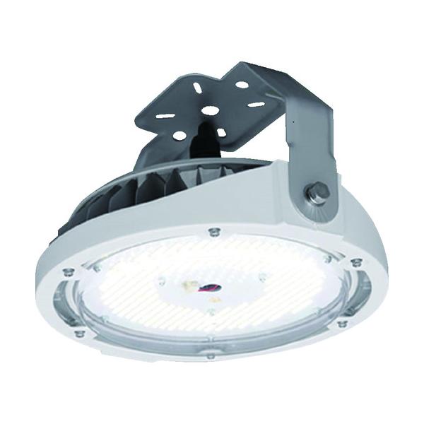 IRIS 273553 LDRCL58N-110BS 高天井用LED照明 直付タイプ 10000lm 昼