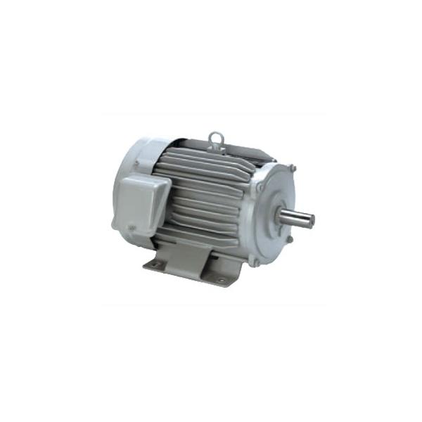 三菱 三相モーター SF-PR-30kW-4P AC200V 4極 汎用 脚取付 標準モータ 屋内仕様