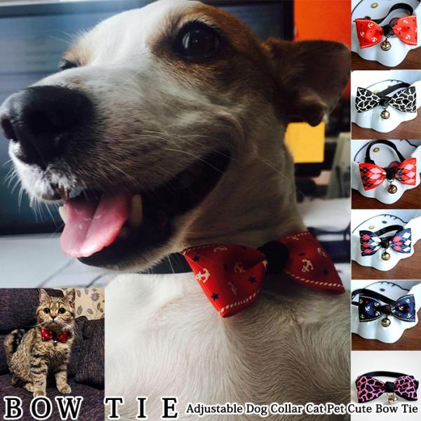 猫 犬 首輪 ペット 服 蝶ネクタイ キャット ドッグ リボン アクセサリー ペットグッズ Buyee 日本代购平台 产品购物网站大全 Buyee一站式代购 Bot Online