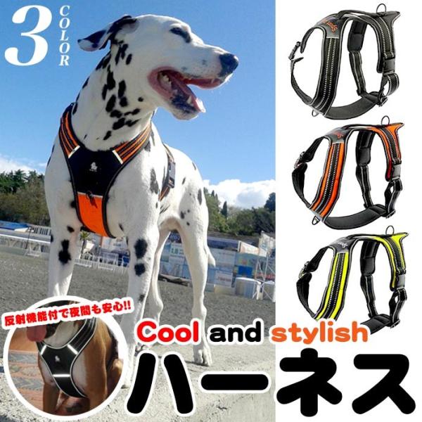 RUSH SR メッシュハーネス ベスト グレー RUSH SR メッシュハーネス ベスト グレー cli-clasp2_r.jpg