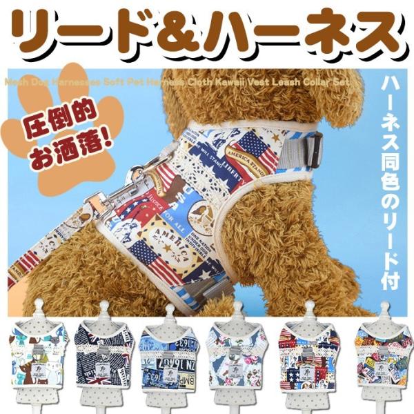  L n[lX [h ybg fUC   EFAn[lX  Lbg hbO  USA