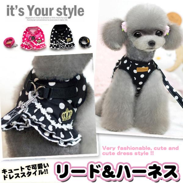  n[lX [h t hX  EFAn[lX ybg  s[X  Lbg hbO