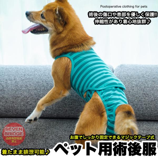 術後のトイレも安心♪着たまま排泄可能。患部を見やすくするようにお腹部分マジックテープを採用。しっかり固定も出来て服を脱ぐことなく患部を確認する事が可能なので大変重宝します♪柔らかいメッシュ生地で肌触りも良く着心地も最高です♪術後でなくても、...