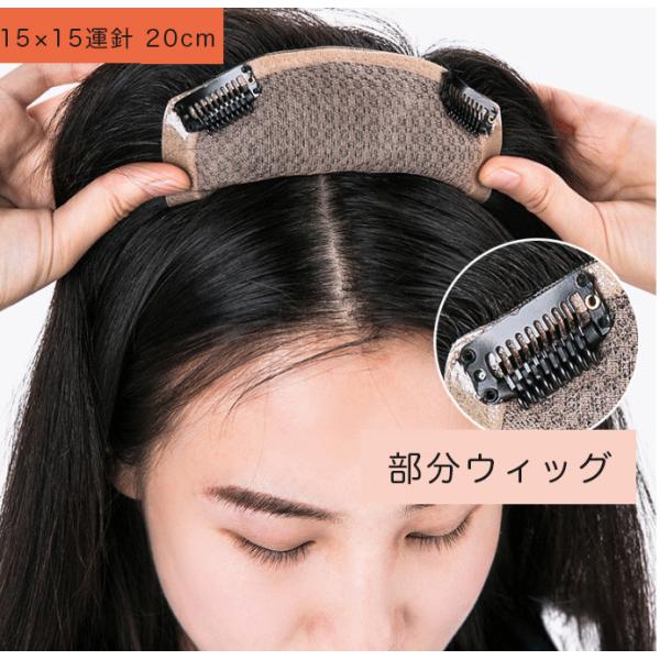 想像を超えての 前髪ウィッグ ウィッグ ヘアピース かつら 女性 部分かつら 15 15cm運針 cm 総手植え 人毛100 頭頂部 白髪隠し トップカバー つむじ 医療用ウィッグ 送料無料 Kuljic Com