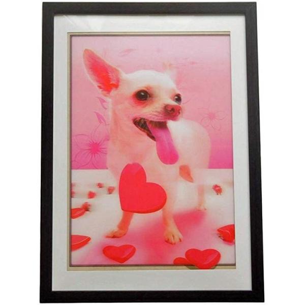 飛び出す 立体画 セール品 犬 猫 動物 写真 5d 3d 額付き 不思議 ホログラム アート ポスター 子犬 B ねこ かわいい 立体的 絵