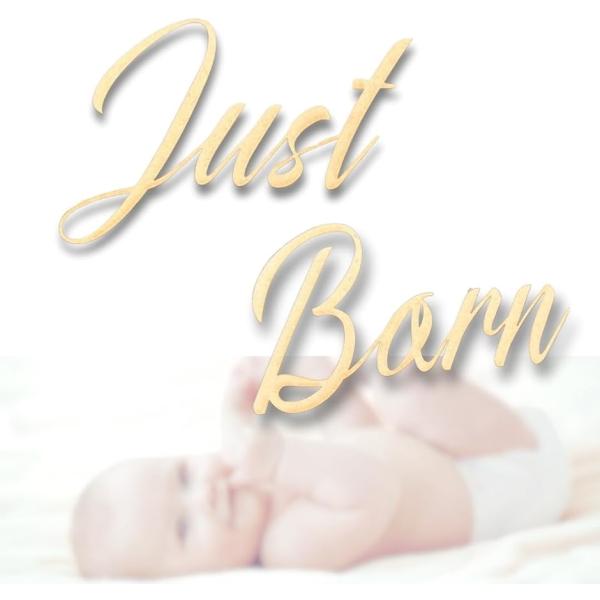 他サイト： ジャストボーン ニューボーンフォト 月齢フォト 木製 Just Born 月齢フォトグッズ レジストリー マンスリーカード(ブラウン)の商品画像