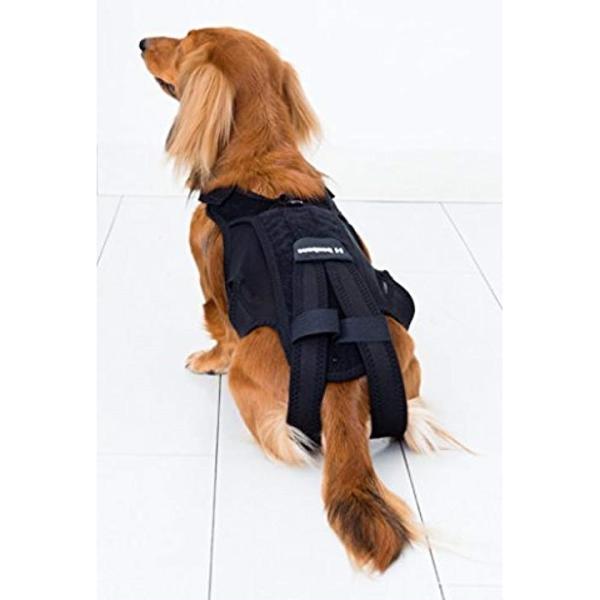 わんコル 黒 開店祝い 犬用コルセット ブラック M