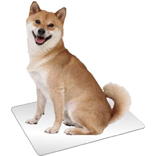 ひんやりクールアルミプレート Dp 807 送料無料 新品 L